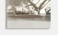 艺术涂料工厂如何选：纳晶涂料的无机体系解读