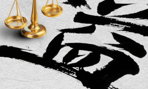 守315初心，筑品质家居｜双依格：诚信定制，不负每一份信任