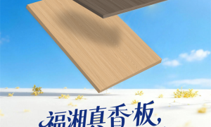 福湘真香板 × 植萃桂香｜香护同源，家装一步到位