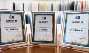 嘉宝莉石艺漆加冕年度价值品牌，以标准与品质定义高端别墅新高度